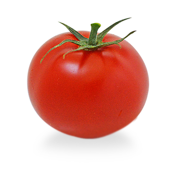 bio tomate